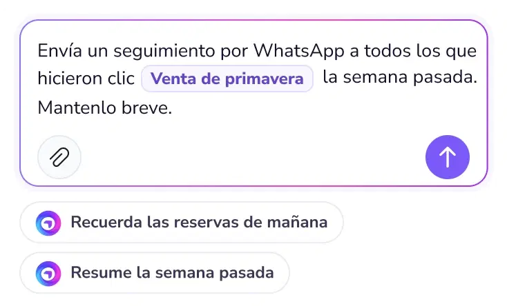 Cuadro de instrucciones que pide a TopAgent un seguimiento por WhatsApp